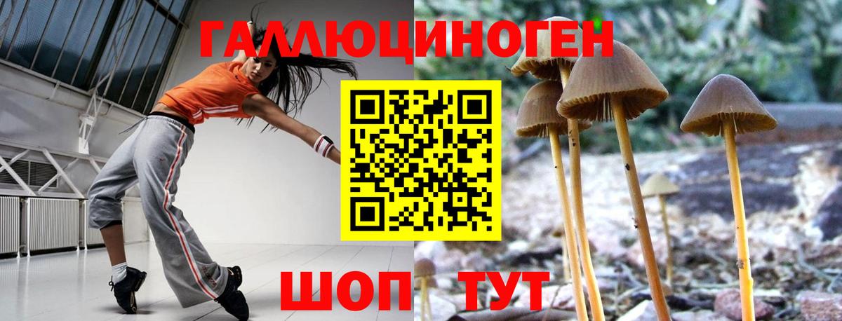 наркошоп  Галлюциногенные грибы ЛСД  Вход с VPN  Тимашёвск 