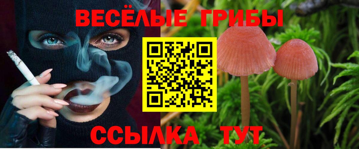 Галлюциногенные грибы прущие грибы Тимашёвск